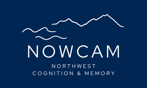 NOWCAM